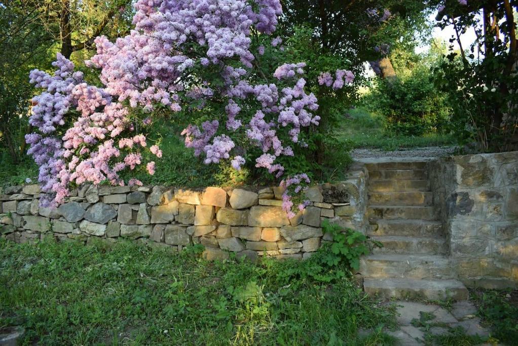 Birdsong Cottage - Peaceful Country Retreat Pauleni-Ciuc Exterior photo